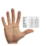 Guantes Anticorte Gams nivel 5