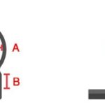 Anillas Warne Maxima MEDIUM 36 mm FIJAS