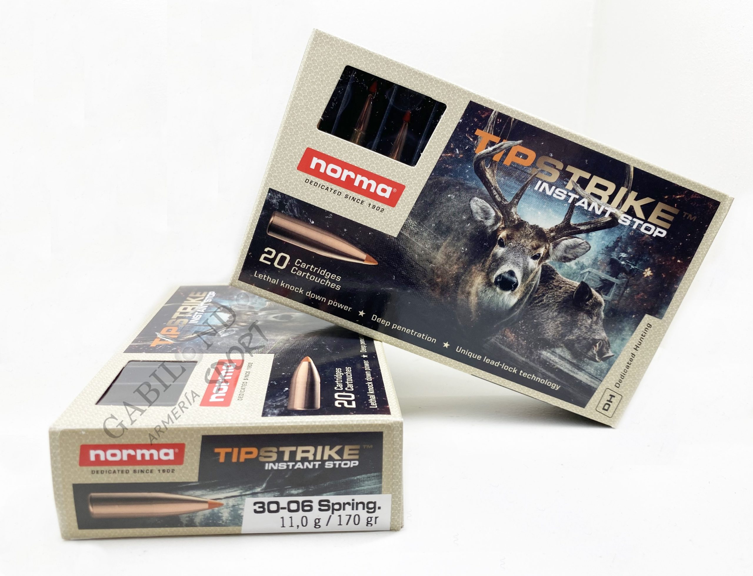 Munición Norma 300 WM Plastic Point 180 gr (PPCD) Munición Norma 300 WM Plastic Point 180 gr (PPCD)