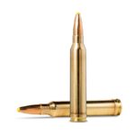 Munición Norma 300 WM Plastic Point 180 gr (PPCD)