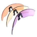 Gafas EVOLUTION Aero 4 lentes