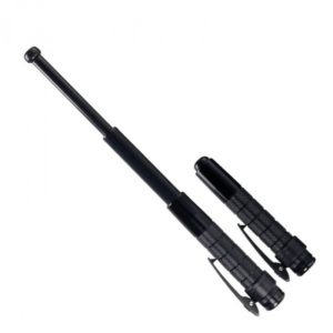 Defensa extensible ASP Protector P12